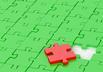 A missing piece of jigsaw