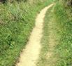 Countryside footpath
