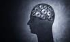 Conceptual image of head filled with cog gears
