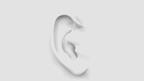 An ear
