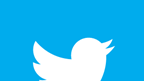 Twitter bird