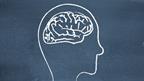 Drawing of a brain