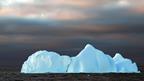 Iceberg
