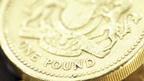 Pound coin