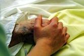 Care homes: getting to grips with GP retainers