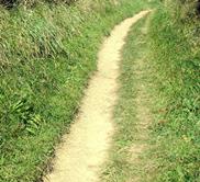 Countryside footpath