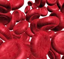 Blood cells