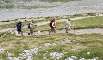 People on a pathway