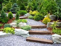 A garden in a public park