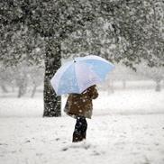 Battling the snow with an umbrella