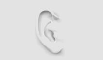 An ear