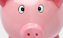 savings_piggy_bank_money_finance