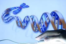 DNA and computer mouse