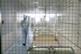 Just one in six CQC staff think regulator is well managed