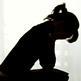 Report critical of infant death responses