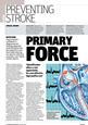 Preventing Stroke supplement