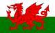 UK health policy differences hamper services
