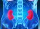 Kidney Xray anatomy