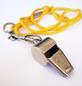 Protection for whistleblowers to become constitutional right