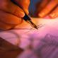 A solicitor signing a court document