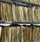 Reforms will curtail access to information, say campaigners