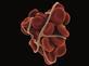 Venous thromboembolism
