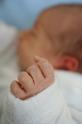 A newborn baby