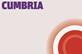 HSJ Local briefing - Cumbria logo