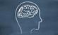 Drawing of a brain