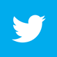 Twitter bird